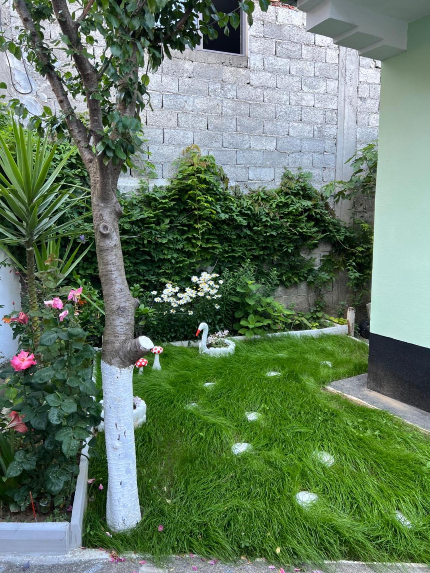 Hotell Dibra Near Center Of